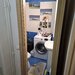Sebastian- Novaci